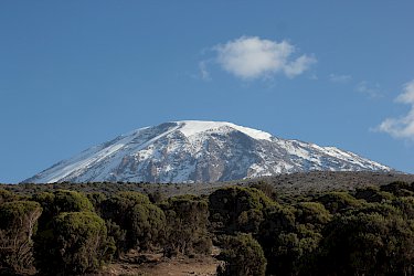 Mt. Kilimandscharo vom Millenium Camp aus