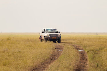 Safarifahrzeug in der Savanne